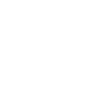 LIUZH TRUCKING INC